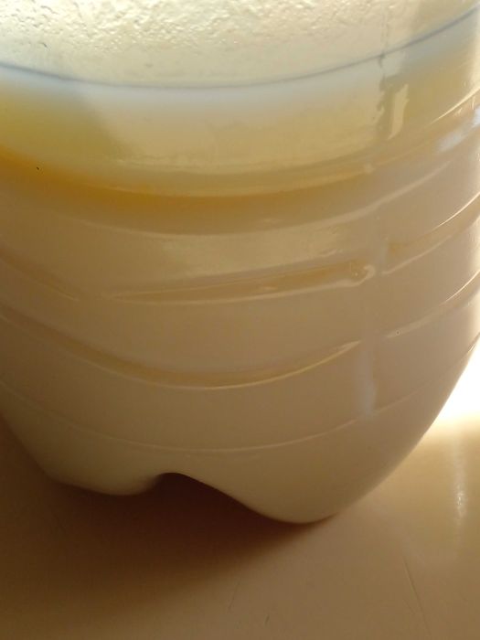 Продам свежий топленый гусиный жир