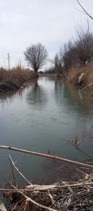 АРЗОН СРОЧНО Лукс жой Кибрайдан ховли  8 сотих арзон нархда сув буйи.