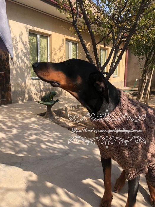 Одежда для собак и кошек на заказ