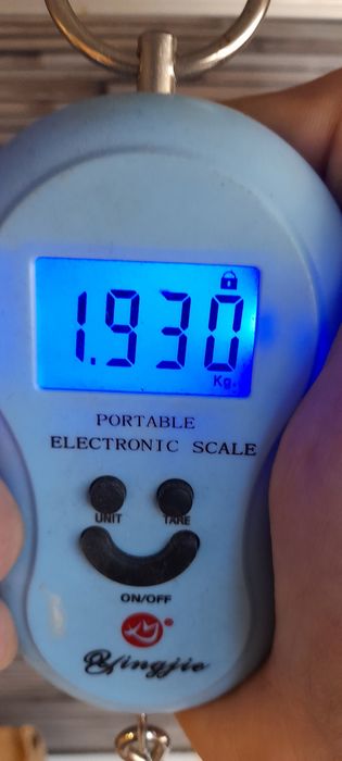 Кангал шведски размери и тегло по снимките