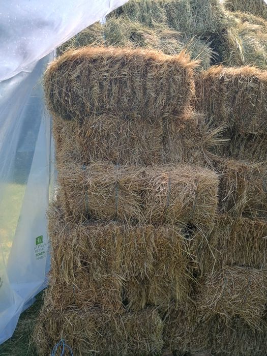 Baloți(trifoi,ghizdei și timotei)