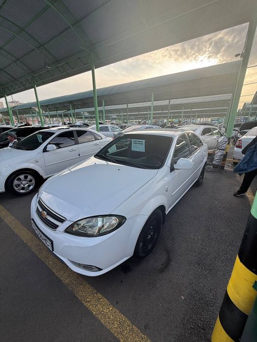 Jetra 1 yevro Kiraska toza yurgan 250.000 haloli