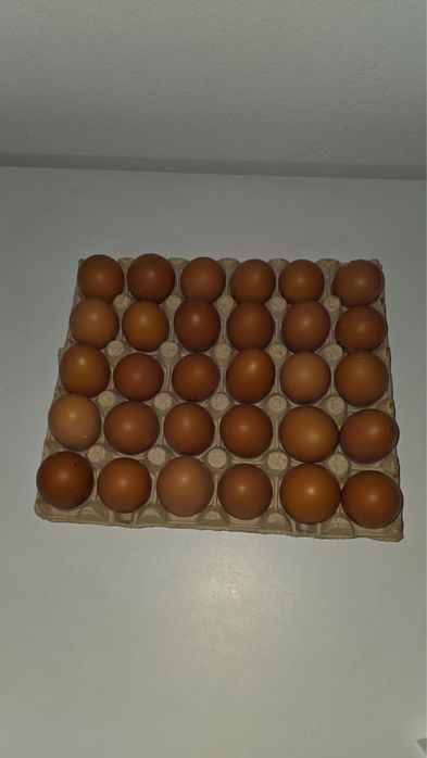 Oua de casa de vanzare