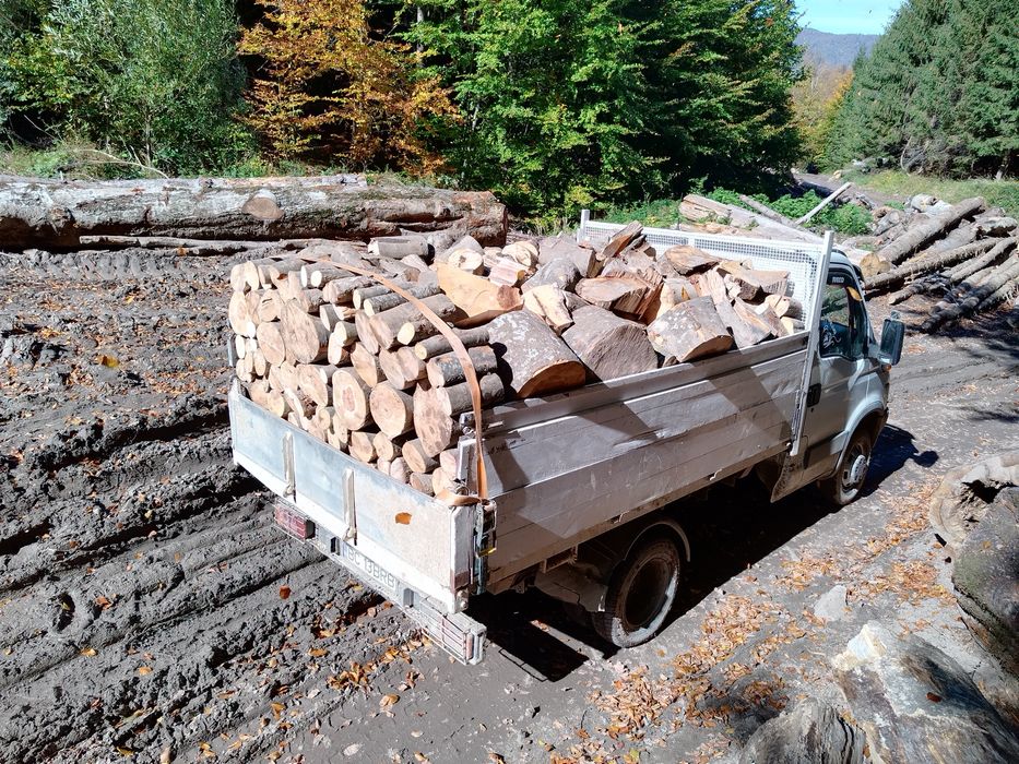 Lemne de foc esenta tare