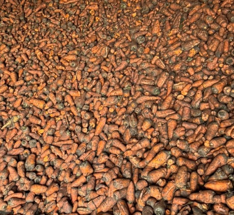 Продам морковь кормовая в мешках
