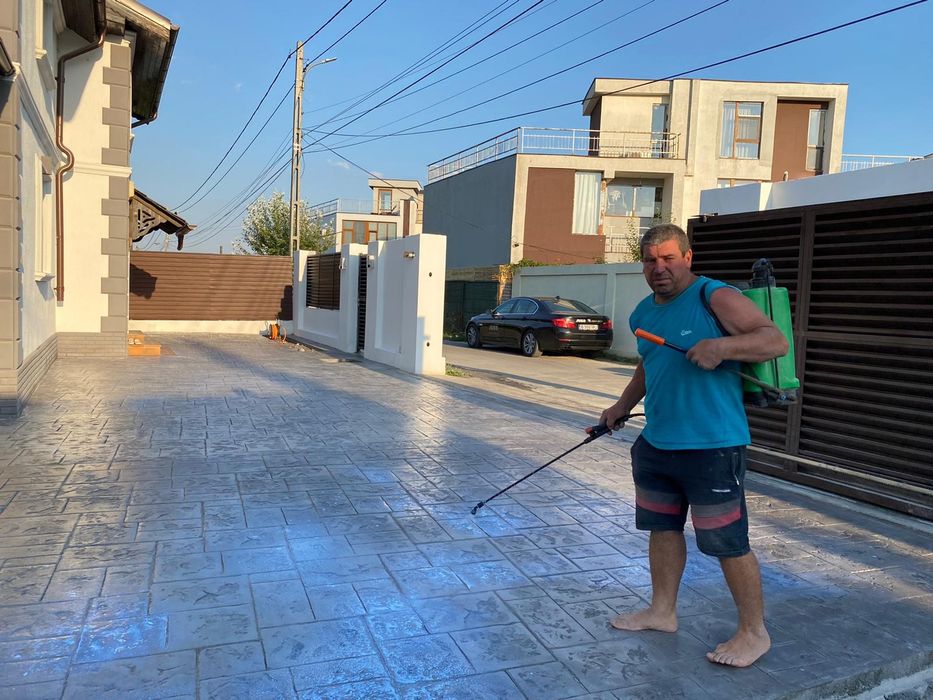 Beton amprentat Octavian