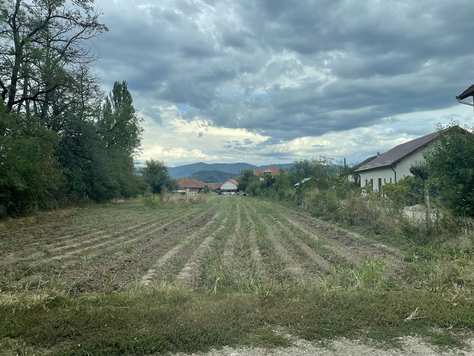 Vand casa cu anexe si teren intravilan