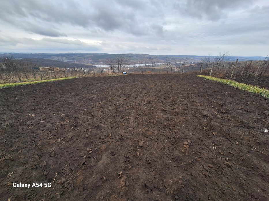 Teren Aroneanu 1000mp, intravilan