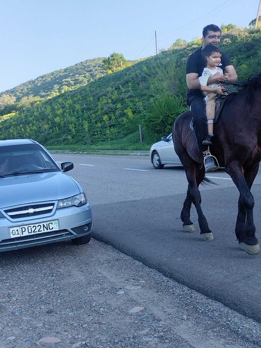 Chevrolet Nexia 2013 — 7