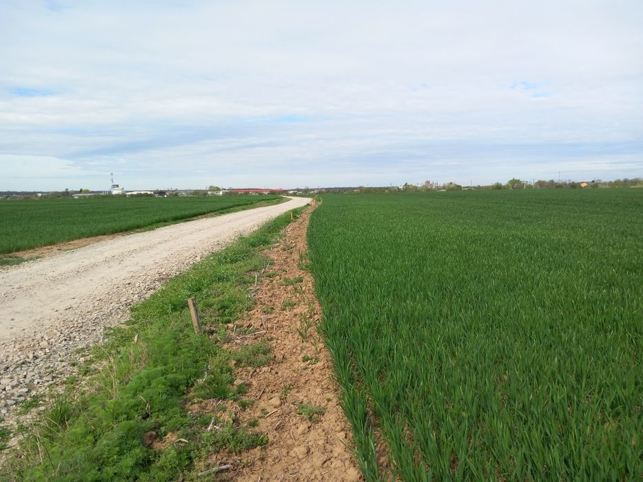 Teren intravilan 1850m