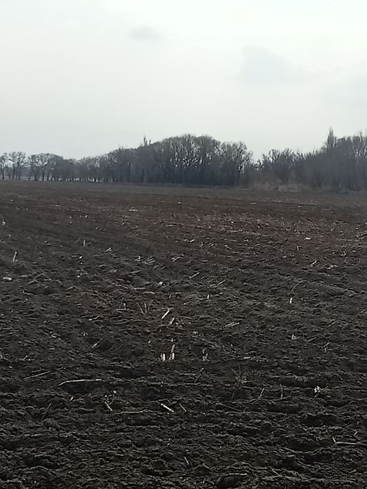 Земельные участк