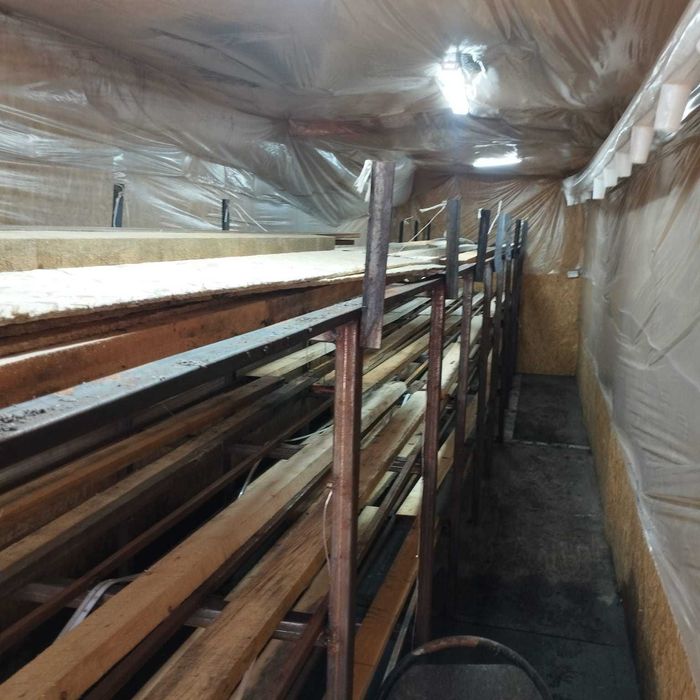 грибница в контейнере