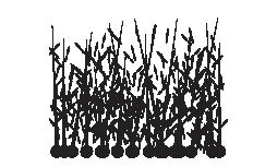 Кератинови фибри за коса | ХИТ ЦЕНА 22.00 лв. на фибри Тoppim