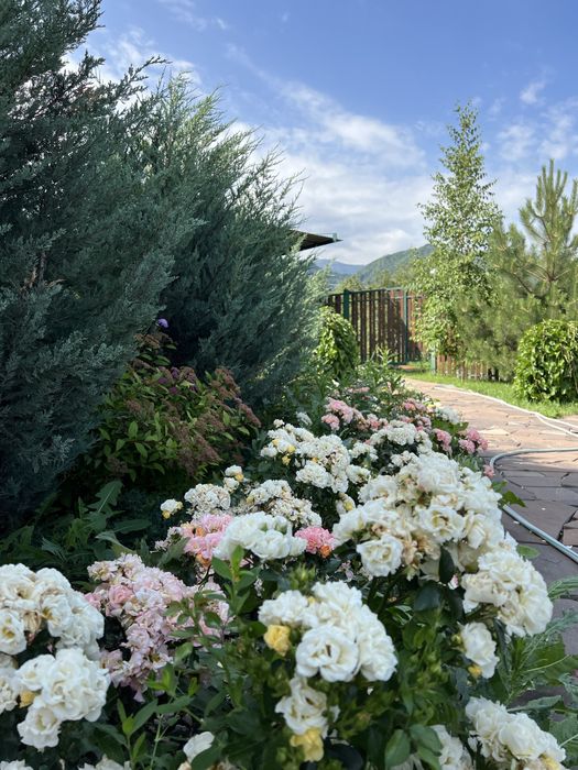 Коттедж в посуточную аренду