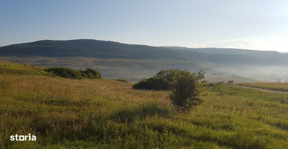 Teren intravilan 1000 mp, cu PUZ, zona platoului Radaia