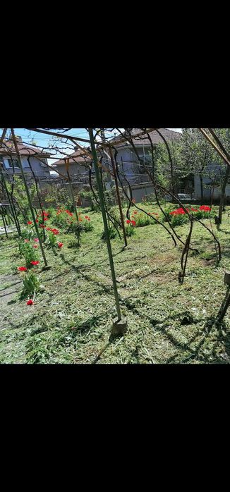 Косене на всякакъв вид треви и терени, рязане дървета и поваляне