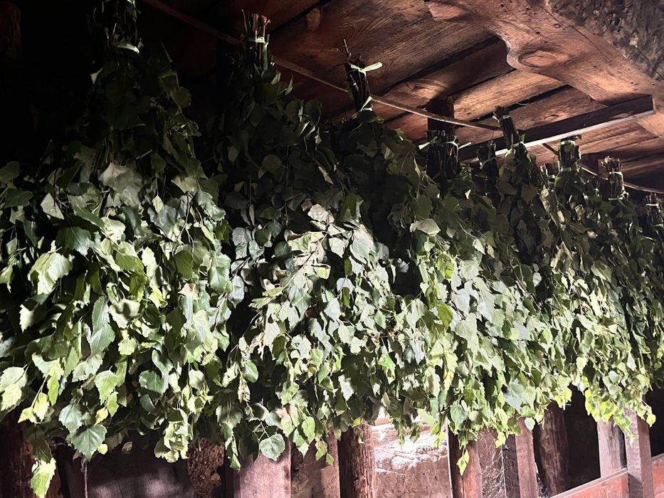 Продам веники березовые