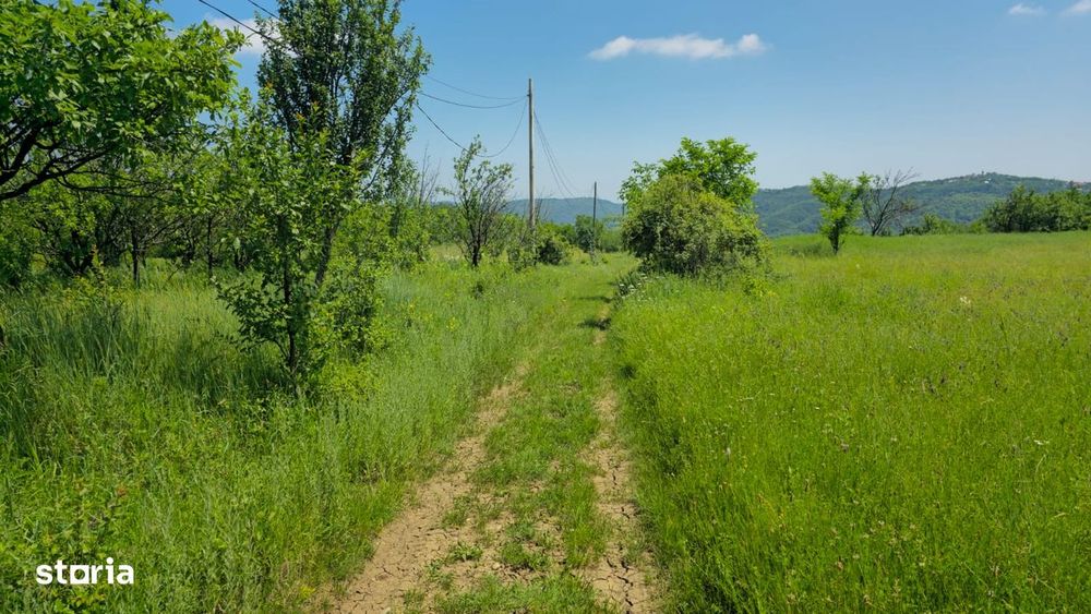 Teren de vânzare 6.352 mp – Slavu (Prahova), extravilan, drum de câmp