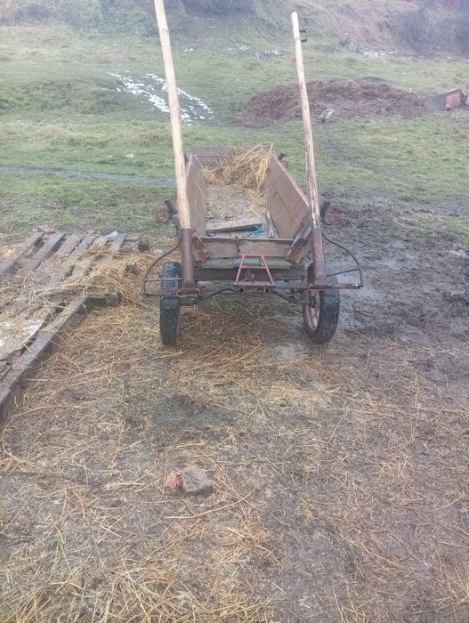 De vânzare armăsar cuminte și caruta