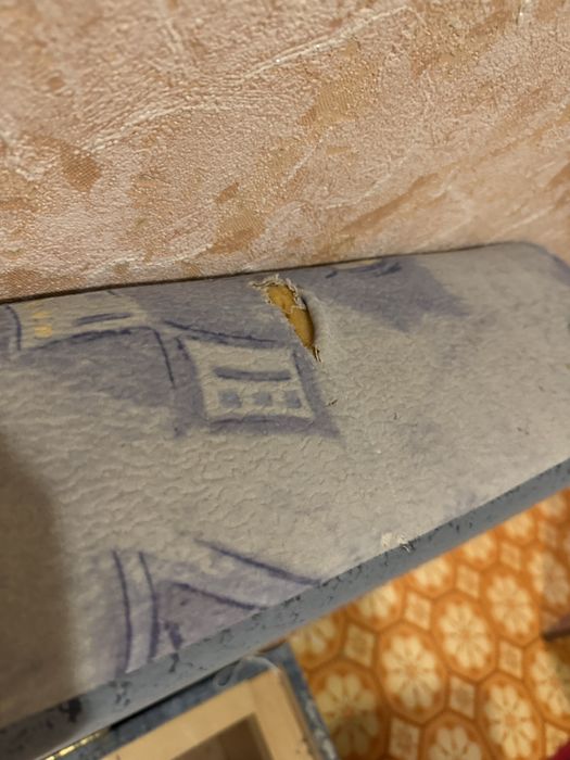 Отдам даром! Бесплатно!