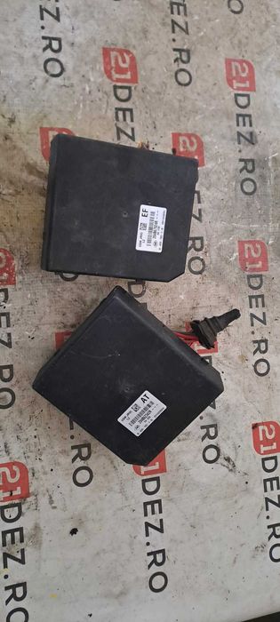 Panou sigurante Renault Scenic 3 cod: 284B67924R EF , 284B62342R AT