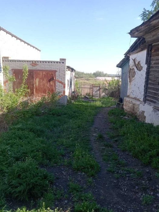 Участок КСК Корейский