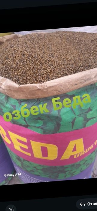 Жонышка тукум  клевр