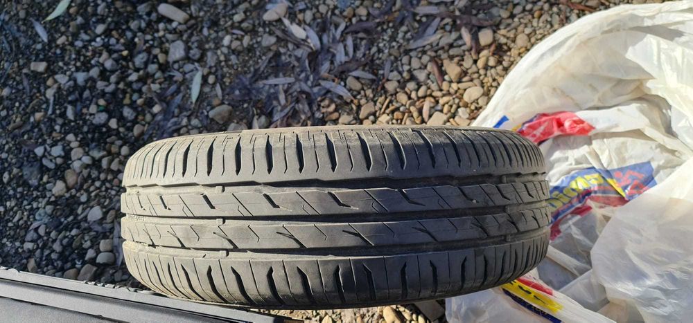 anvelope de vara Semperit 195 65 R15