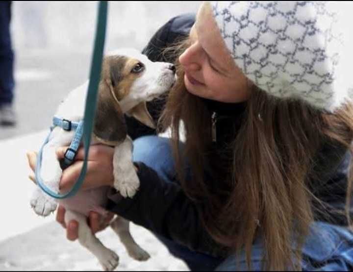 Îngrijire animăluțe - Grijă, iubire și vizite zilnice