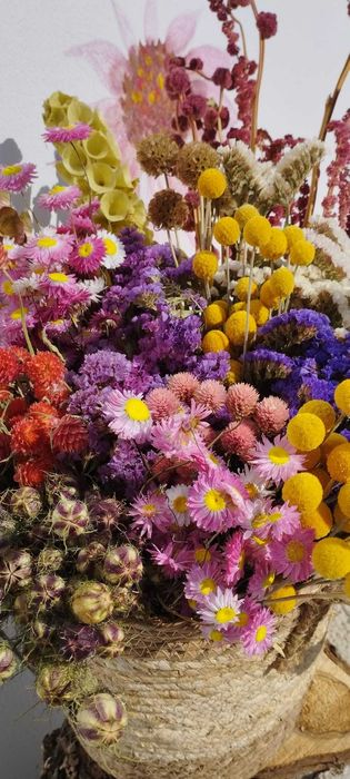 Flori si plante uscate disponibile