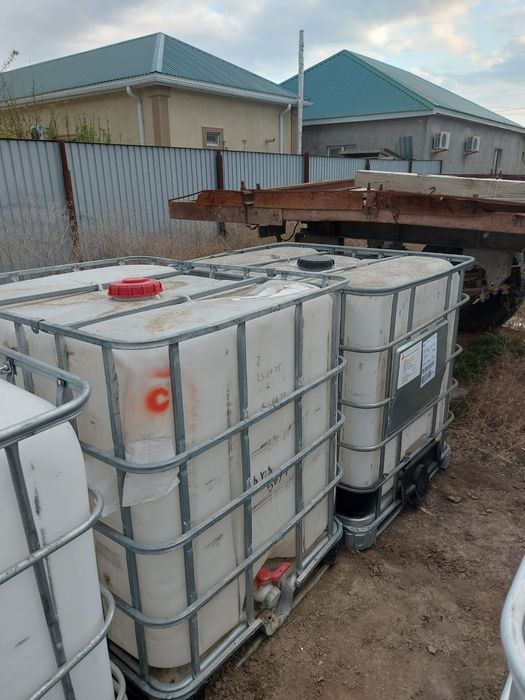 Тонник евро  IBS