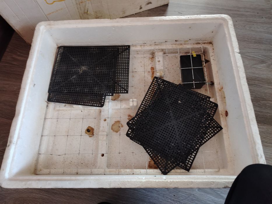 Продам инкубатор би1