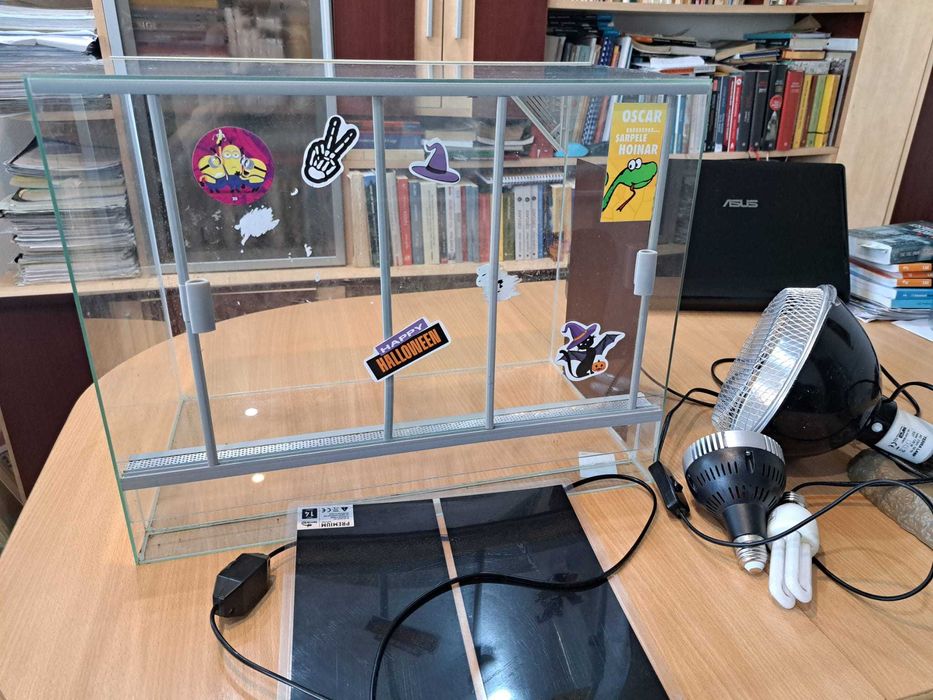 terariu pentru reptile plus accesorii