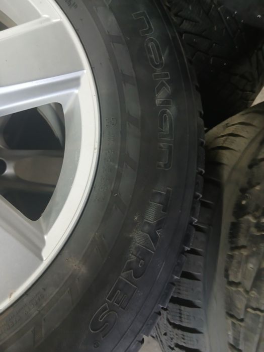 Шины зимний нокиан