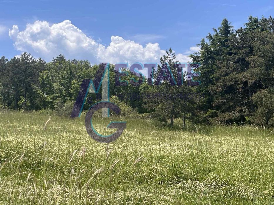 Продава се Парцел в Ахтопол - 4562 кв.м за 120 €/кв.м - Снимка #3