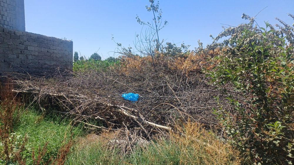 Utin 1 000 kelishiladi