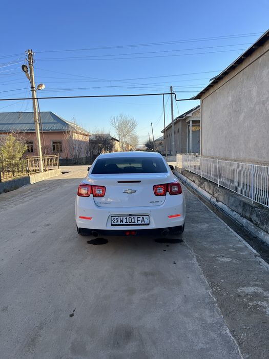 Malibu 1  2-pozitsiya