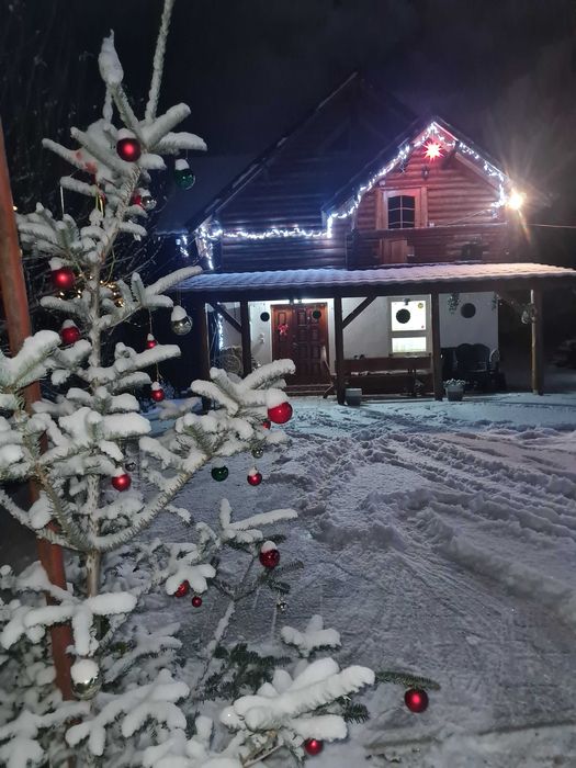 Cabană Închirieri Evenimente Cugir-Alba REZERVATĂ REVELION