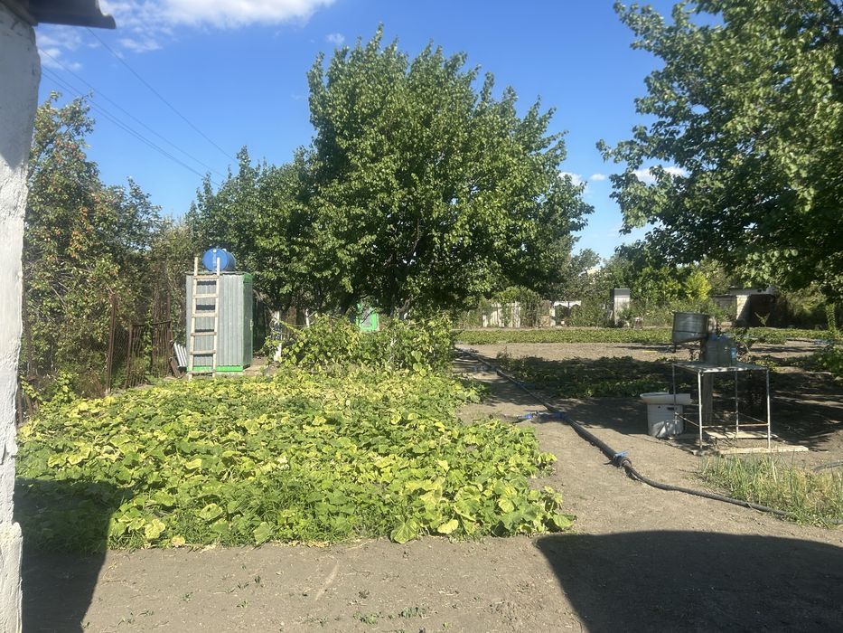 Память-Ильичадан дача сатылады