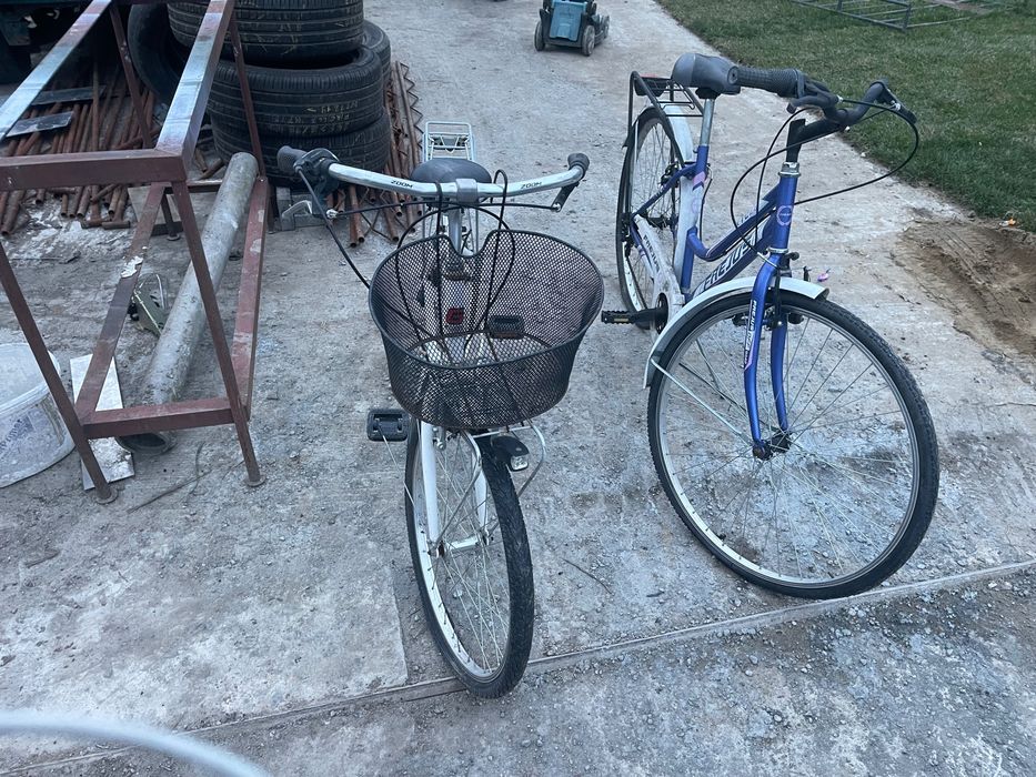 Biciclete de damă