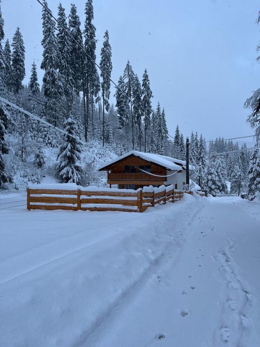 Cazare Cabana Codruț Vatra Dornei