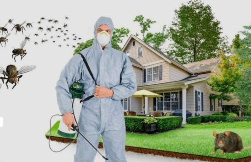 Dezinfeksiya. Дезинфекция хизмат. Xashorotlarni yoq qilish xizmati