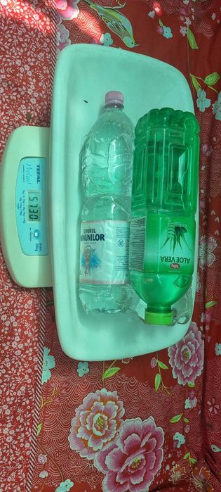 vind cintar bebelusi