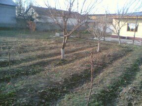 Продаю свой дом в бектемирском районе