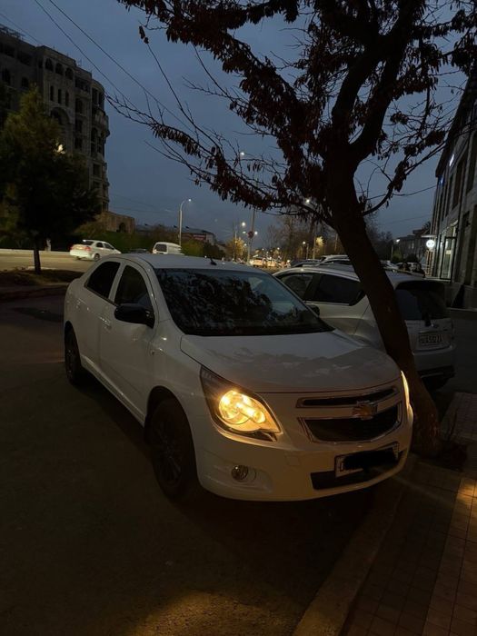 Cobalt midnight 2025