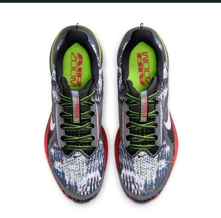 New model Nike Pegasus