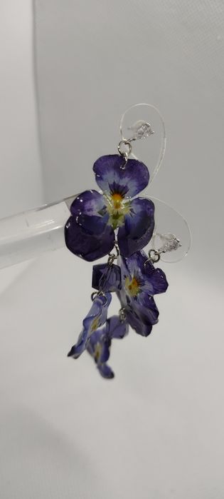 Обеци с естествен цвят на градински теменужки.