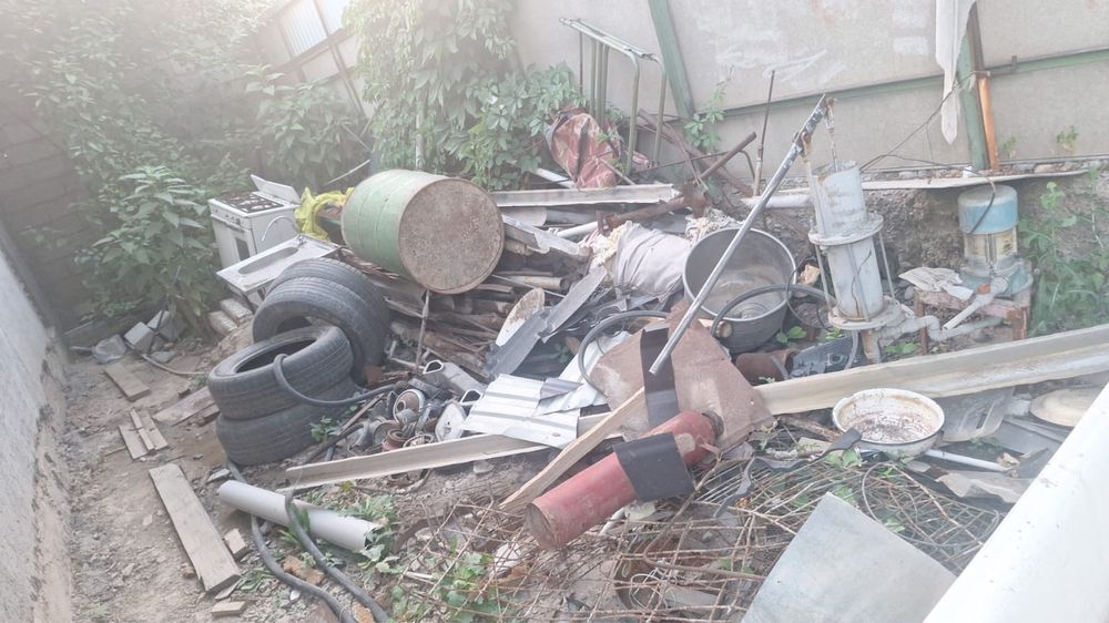 Железо 100тг