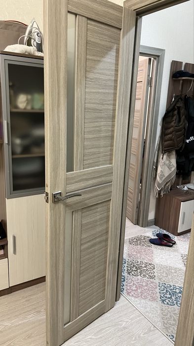 Двери и шкаф в прихожую