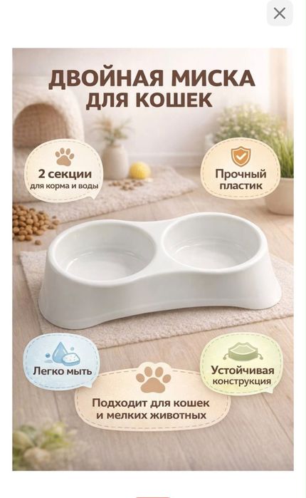 Вислоухий шотландский кот